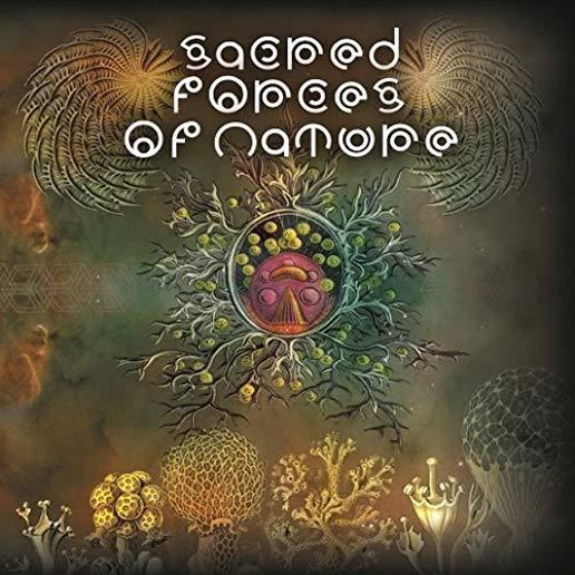 SACRED FORCES OF NATURE / VARIOUS (UK)