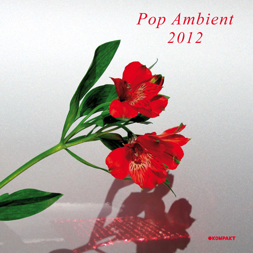 POP AMBIENT 2012 / VARIOUS