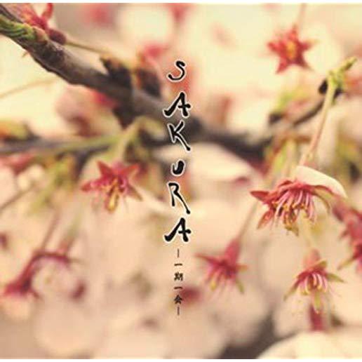 SAKURA - ICHIGO ICHIE / SAKURA / VAR (JPN)