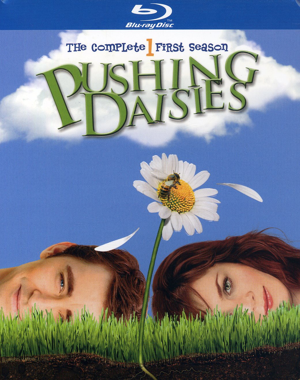 PUSHING DAISIES: COMPLETE FIRST SEASON (3PC)