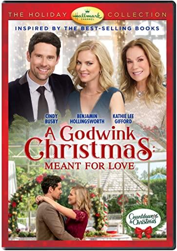 GODWINK CHRISTMAS: MEANT FOR LOVE, A DVD