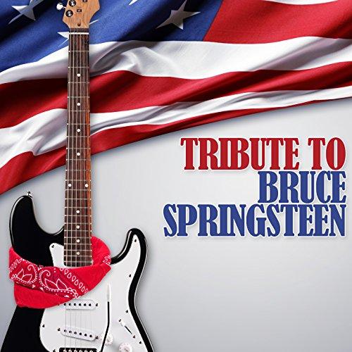 TRIBUTE TO BRUCE SPRINGSTEEN / VARIOUS