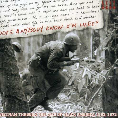 DOES ANYBODY KNOW I'M HERE: VIETNAM THRO / VARIOUS