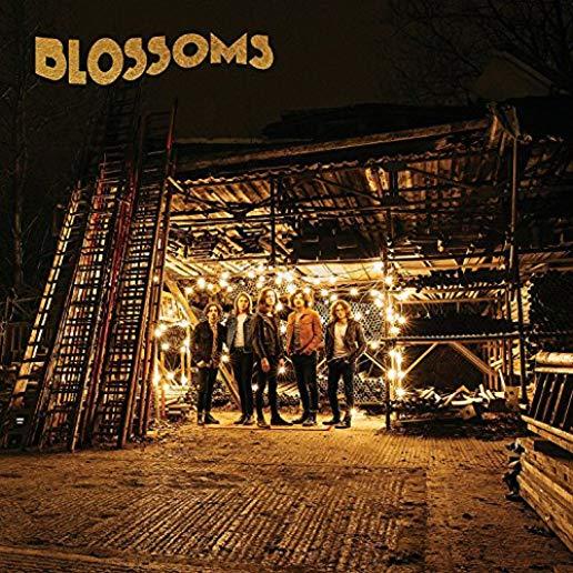 BLOSSOMS (UK)