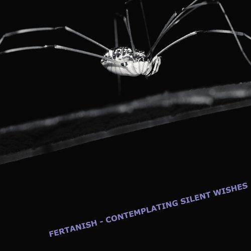 CONTEMPLATING SILENT WISHES (CDR)