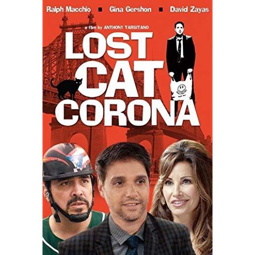 LOST CAT CORONA