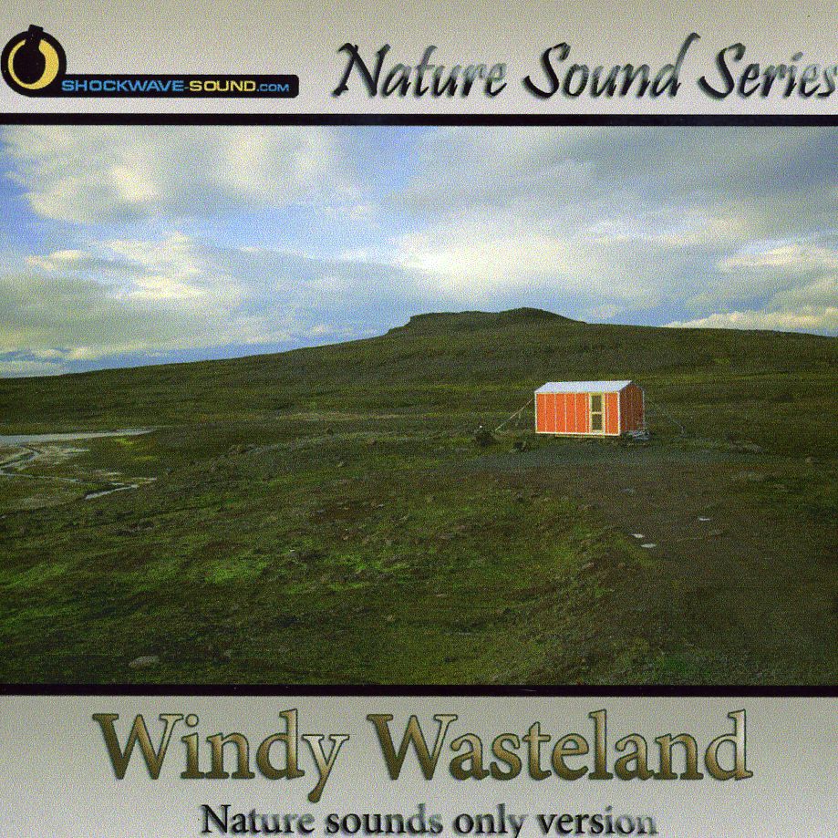 WINDY WASTELAND (NATURE SOUNDS ONLY VERSION)