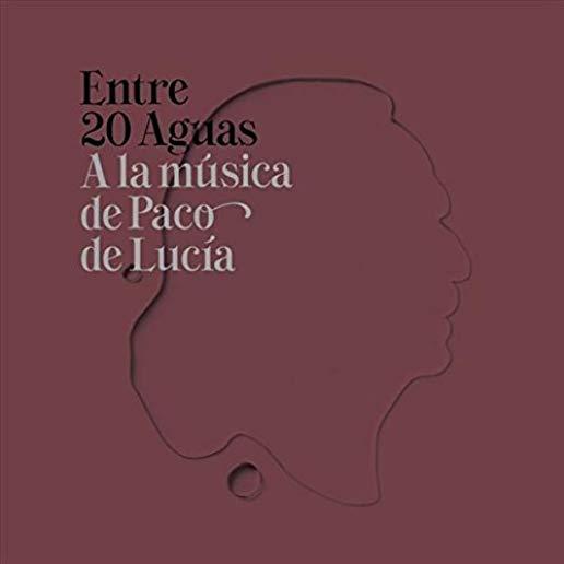 ENTRE 20 AGUAS A LA MUSICA DE PAC / VARIOUS (SPA)