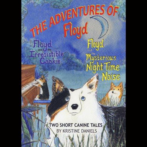 THE ADVENTURES OF FLOYD