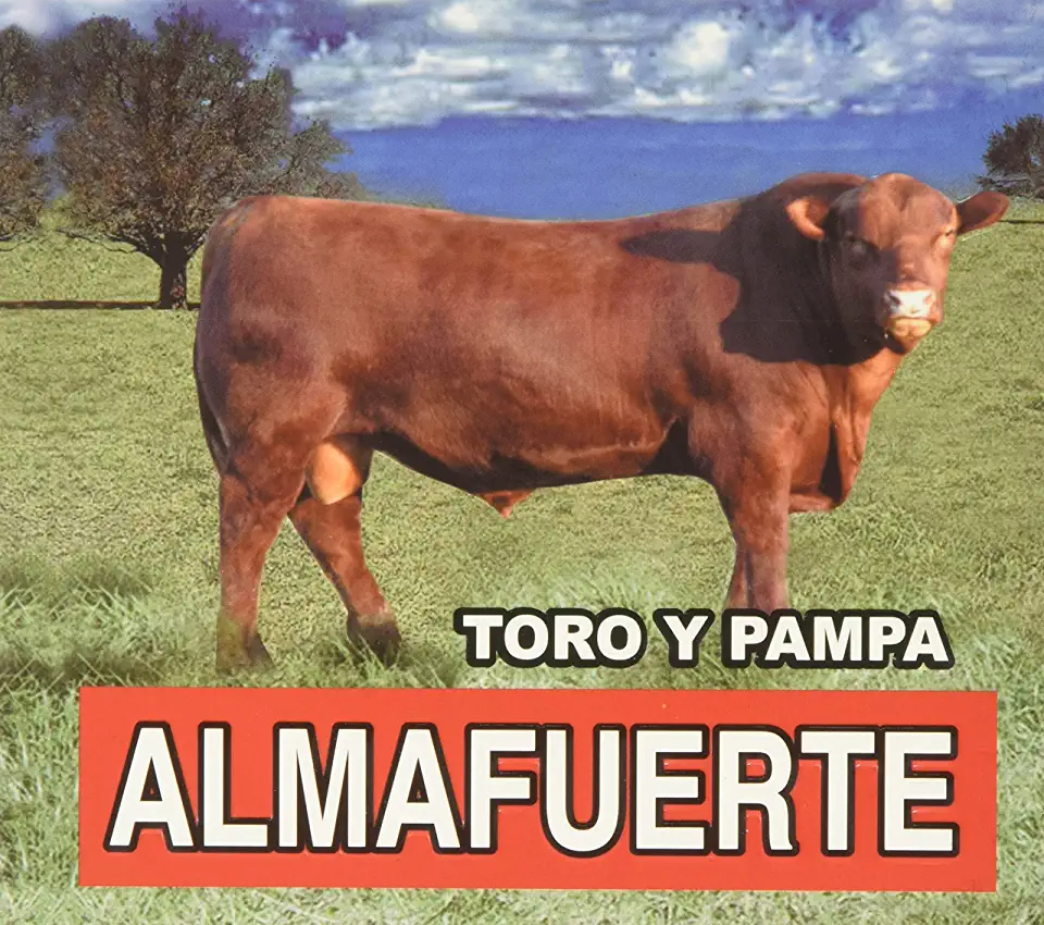 TORO Y PAMPA (ARG)