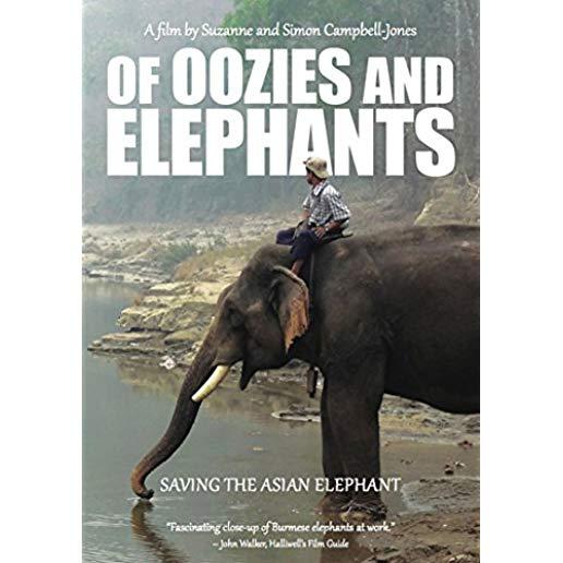 OF OOZIES & ELEPHANTS