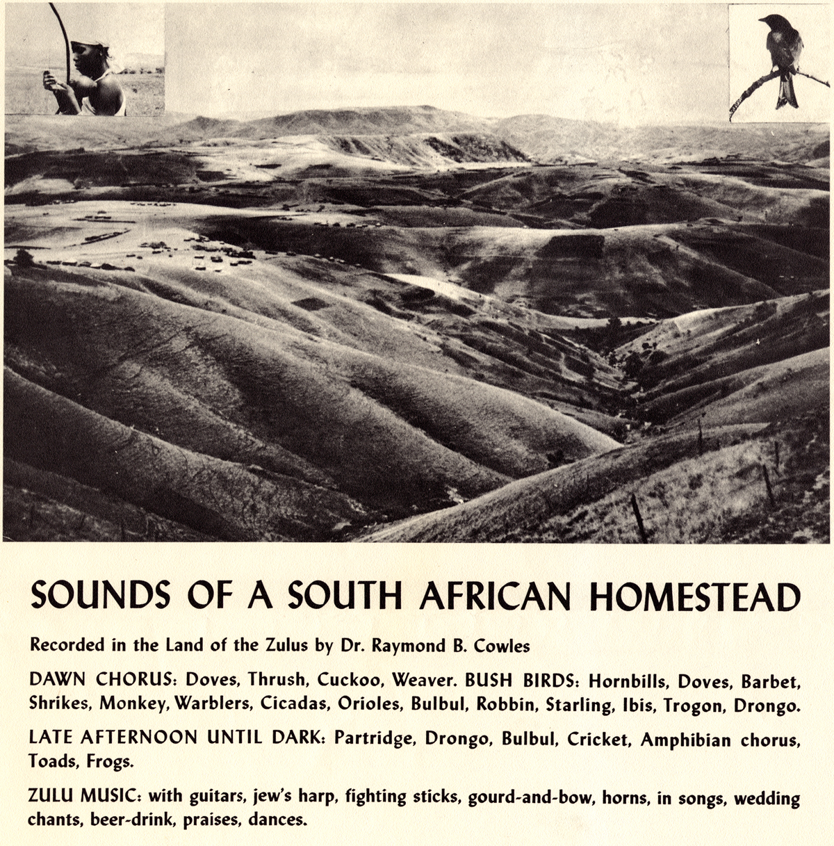 SOUTH AFRICAN HOMESTEAD / VAR
