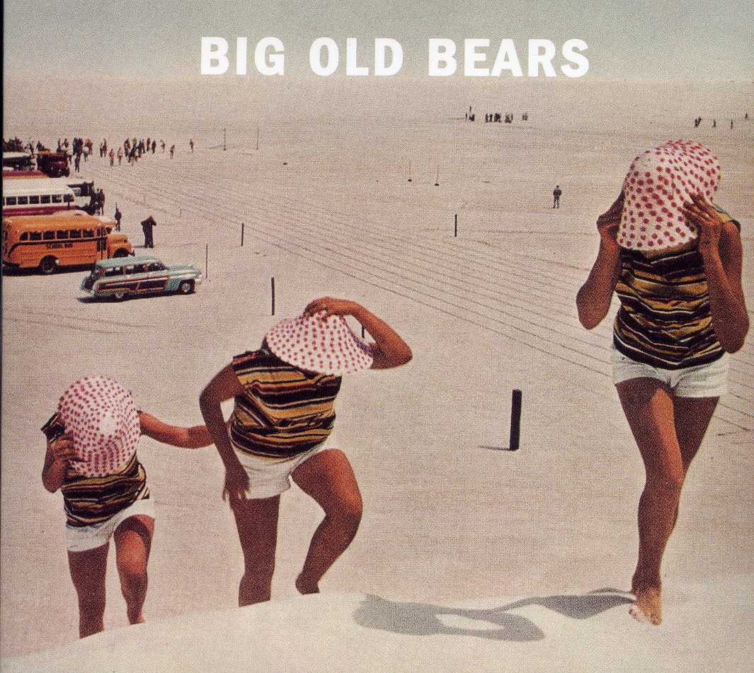 BIG OLD BEARS