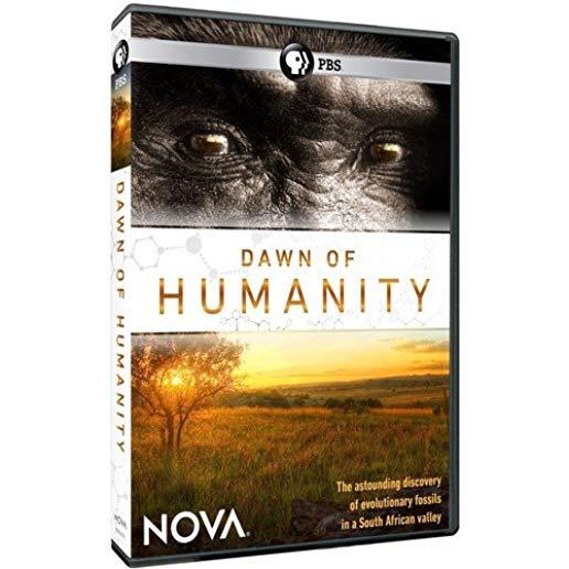 NOVA: DAWN OF HUMANITY