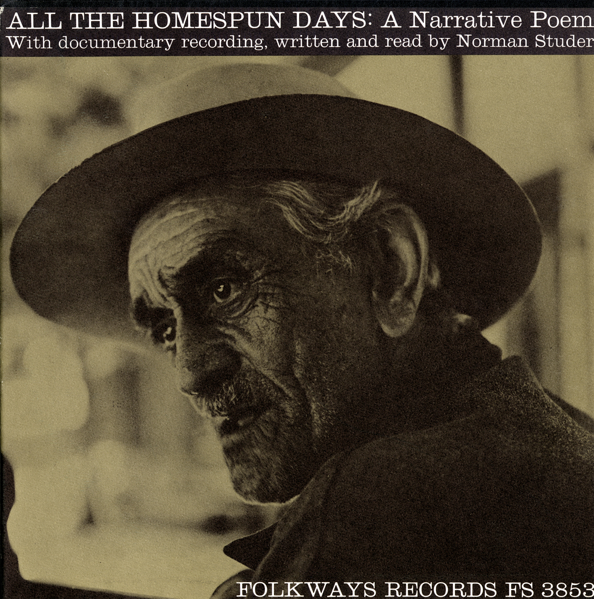 ALL THE HOMESPUN DAYS: A NARRATIVE POEM OF NEW YOR
