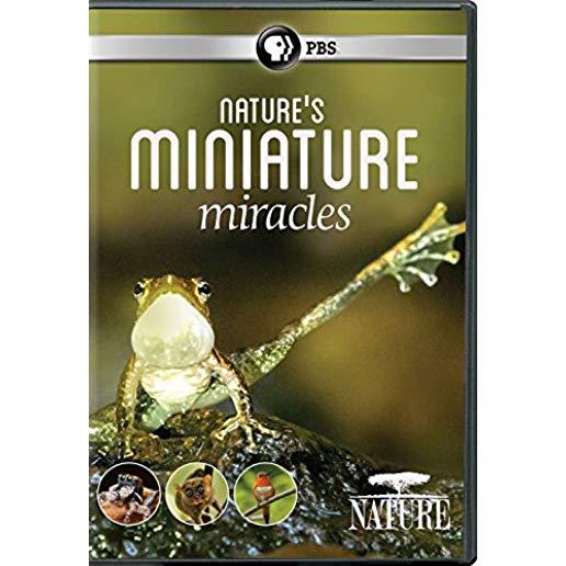 NATURE: NATURE'S MINIATURE MIRACLES