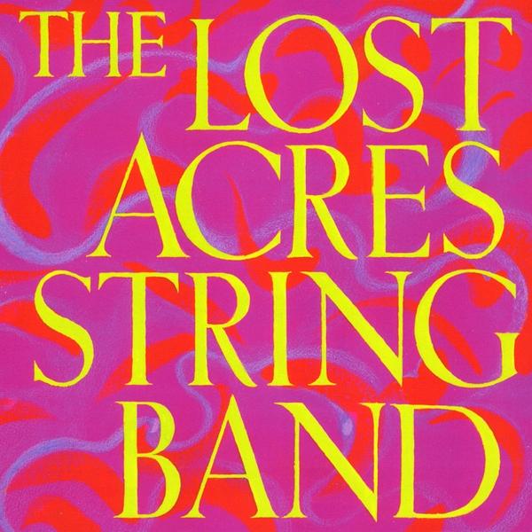 LOST ACRES STRING BAND