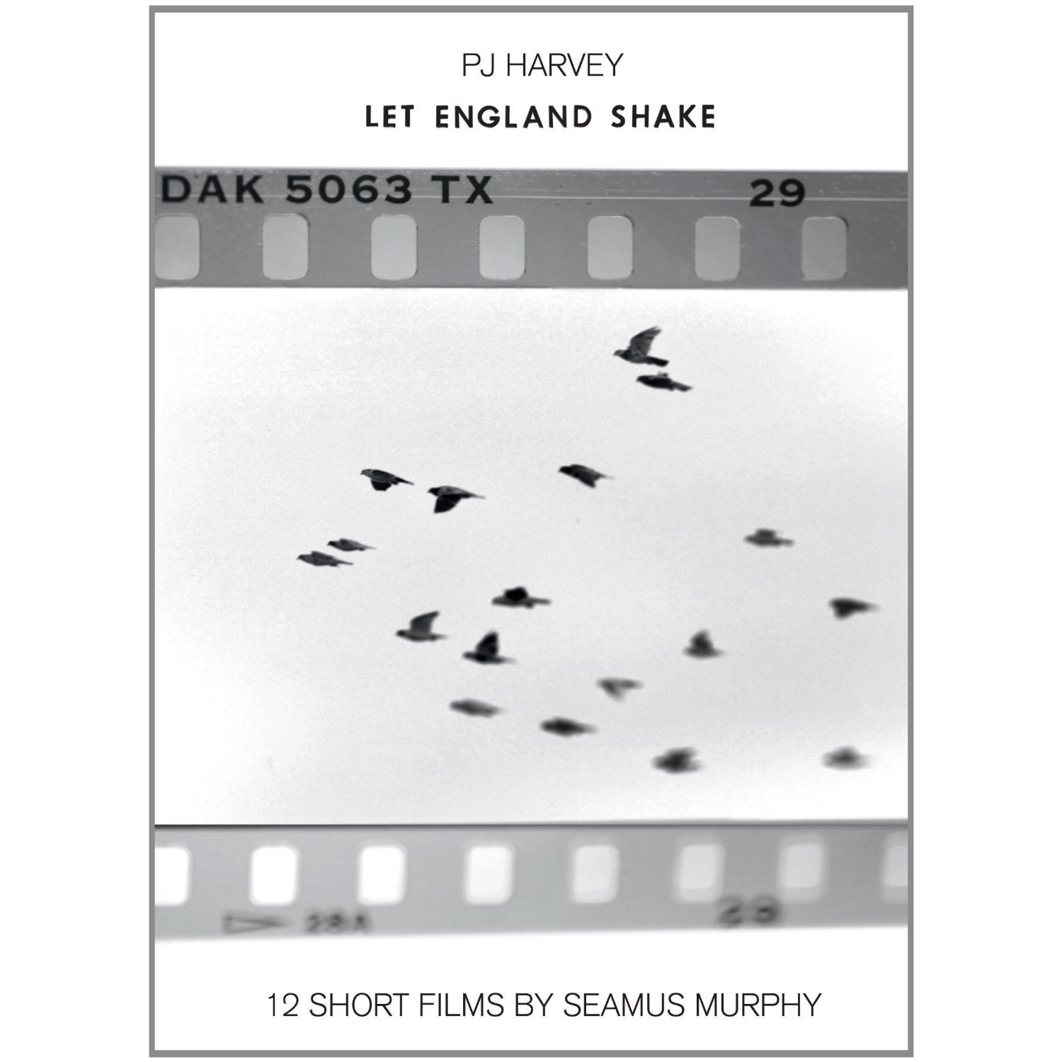 LET ENGLAND SHAKE: 12 SHORT FILMS BY SEAMUS MURPHY