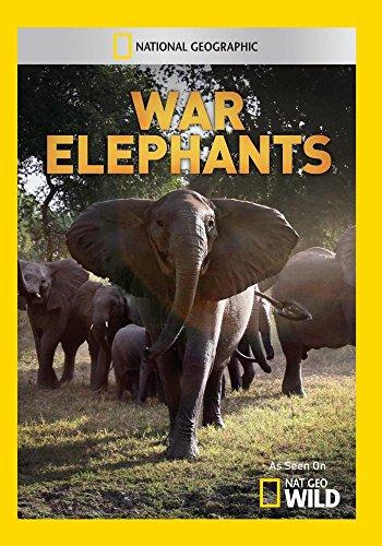 WAR ELEPHANTS / (MOD NTSC)