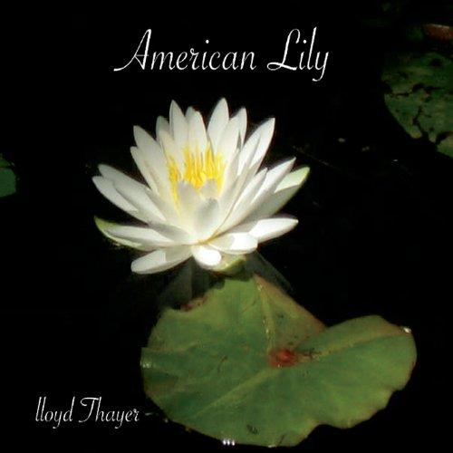 AMERICAN LILY