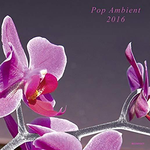 POP AMBIENT 2016 / VARIOUS (W/CD) (OGV)