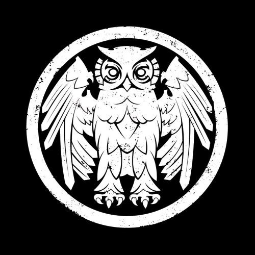 UNDERNEATH THE OWL (DIG)