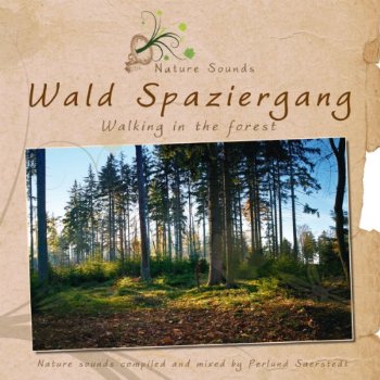 WALD SPAZIERGANG (GER)