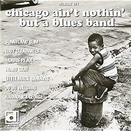 CHICAGO AIN'T NOTHIN' BUT A BLUES BAND / VAR (JPN)