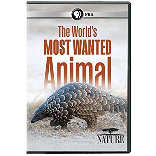 NATURE: WORLD'S MOST WANTED ANIMAL