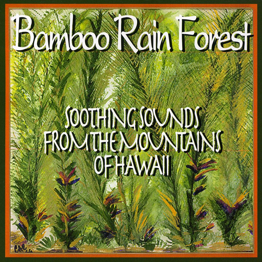 BAMBOO RAIN FOREST