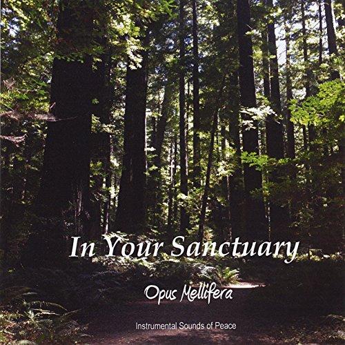 IN YOUR SANCTUARY (CDRP)