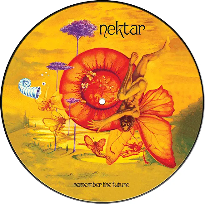 REMEMBER THE FUTURE (PICTURE DISC) (PICT)