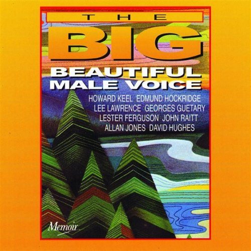 BEAUTIFUL MALE VOICE / VARIOUS