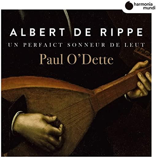 DE RIPPE: MUSIC FOR LUTE