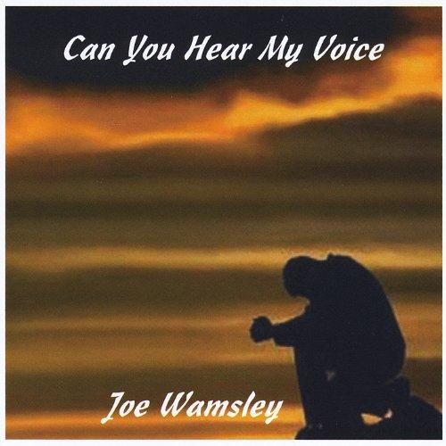 CAN YOU HEAR MY VOICE (CDR)