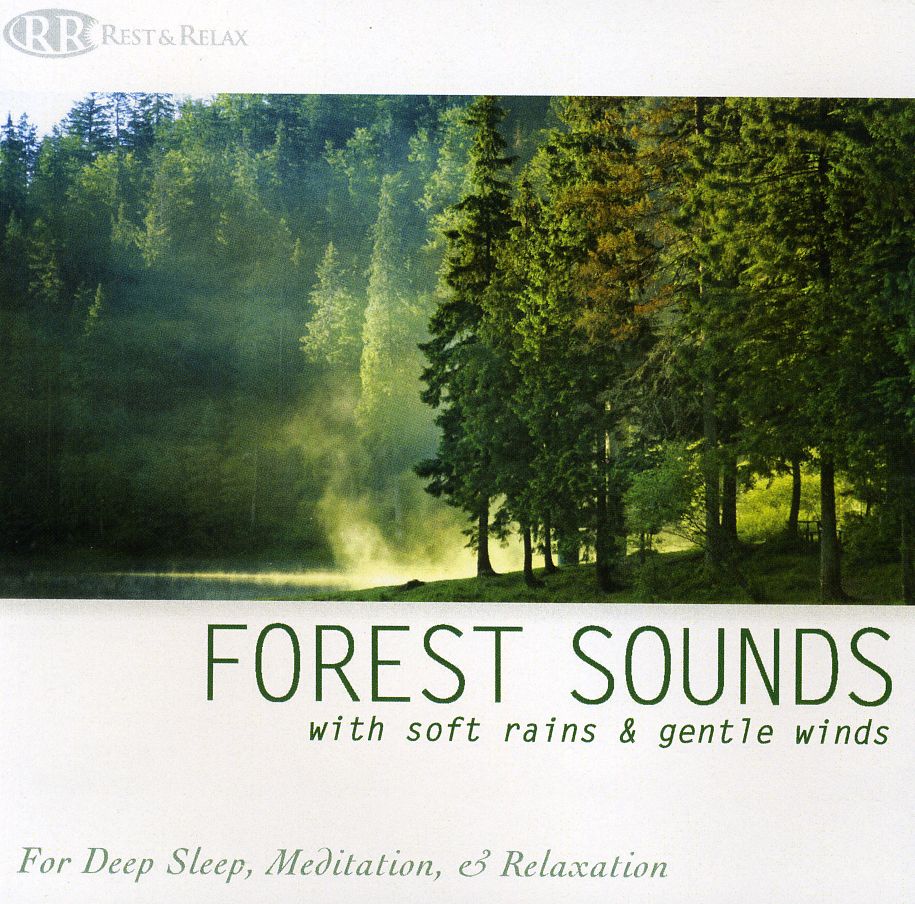 FOREST SOUNDS WITH SOFT RAINS & GENTLE WINDS