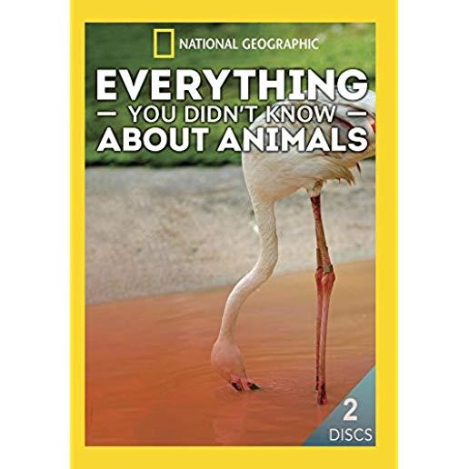 EVERYTHING YOU DIDN'T KNOW ABOUT ANIMALS (2PC)