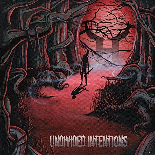 UNDIVIDED INTENTIONS (CDRP)