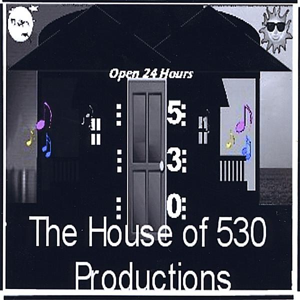 HOUSE OF 530 COMPILATION 1 / VARIOUS