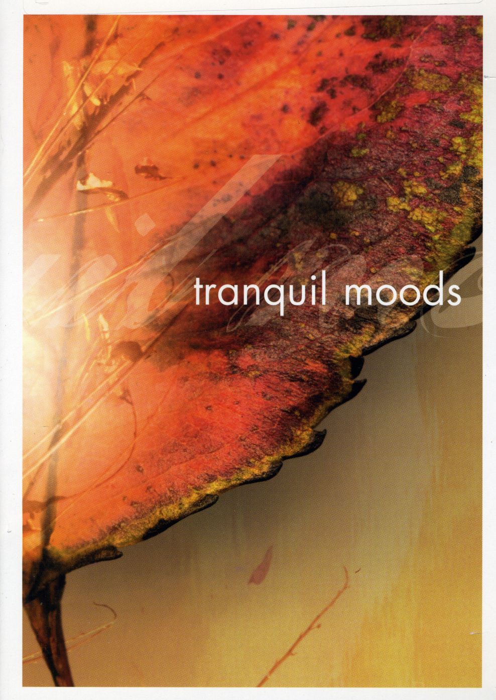TRANQUIL MOODS / VARIOUS