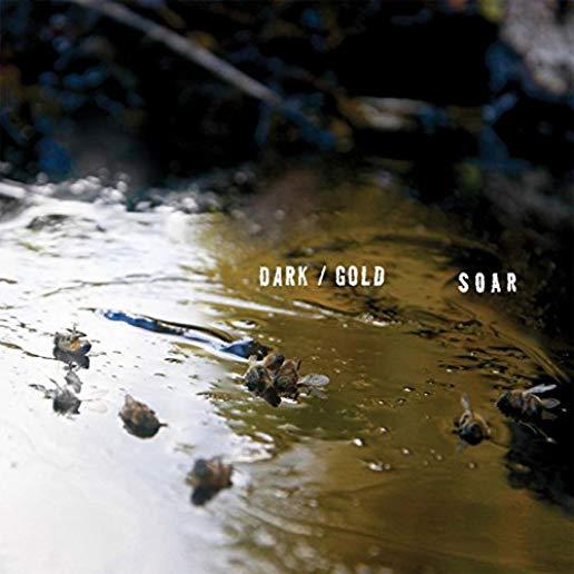 DARK / GOLD (DLCD)