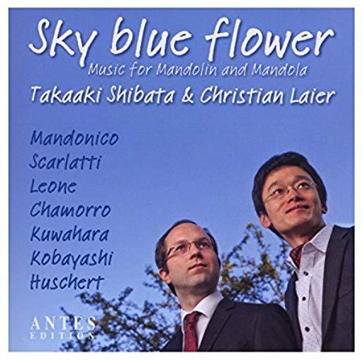 SKY BLUE FLOWER