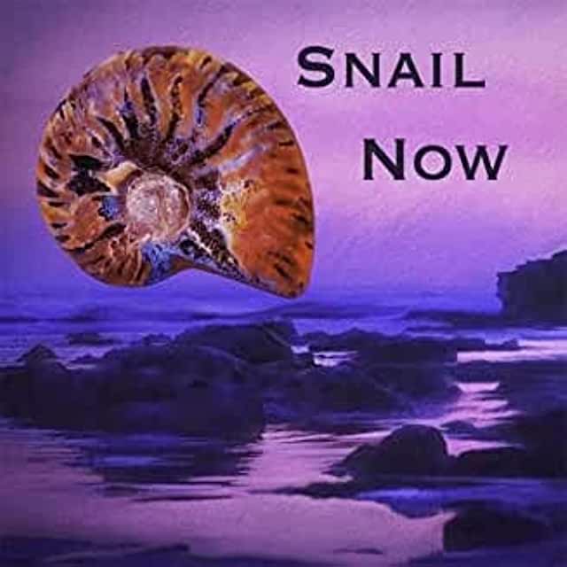 SNAIL NOW (CDRP)