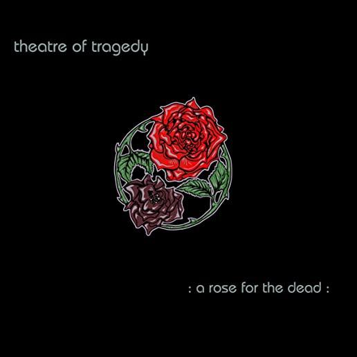 ROSE FOR THE DEAD