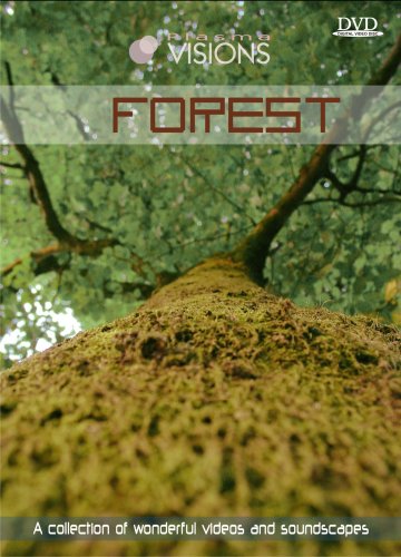 VISIONS 5: FOREST / VARIOUS