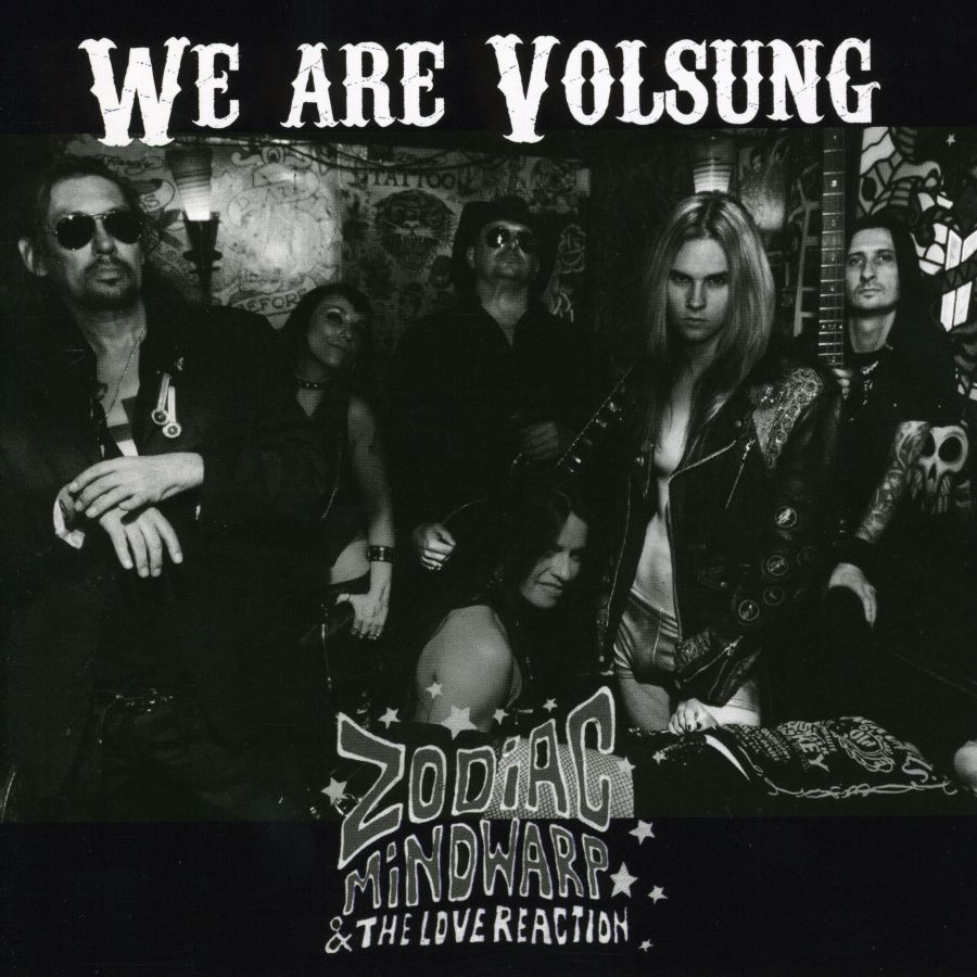 WE ARE VOLSUNG