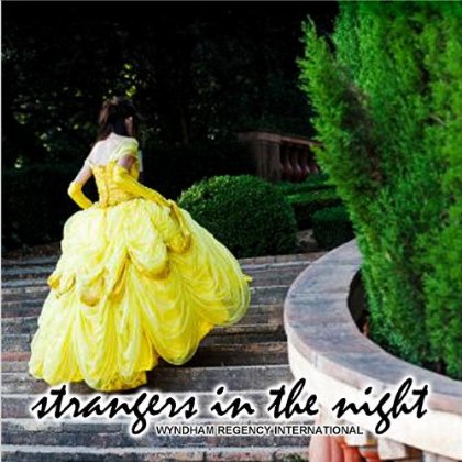 STRANGERS IN THE NIGHT / VARIOUS