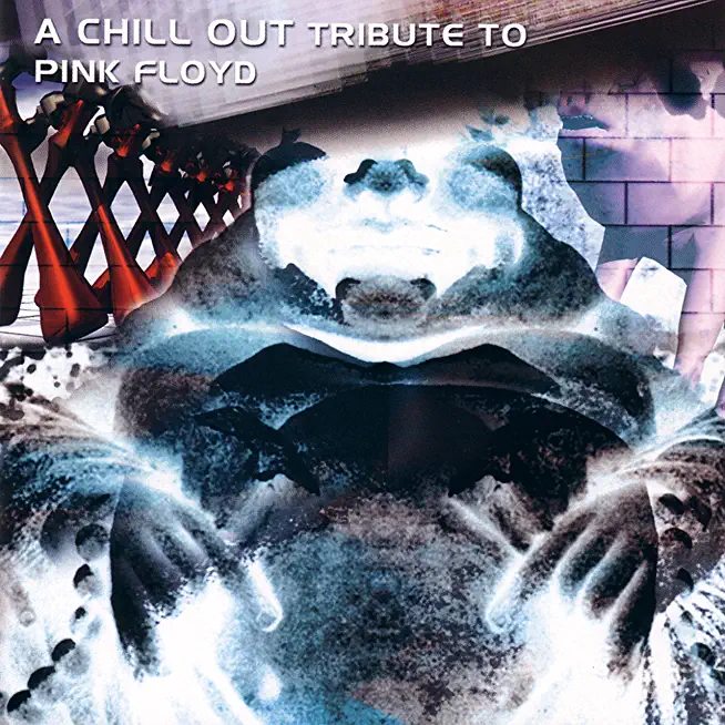 CHILLOUT TRIBUTE TO PINK FLOYD / VARIOUS ARTISTS