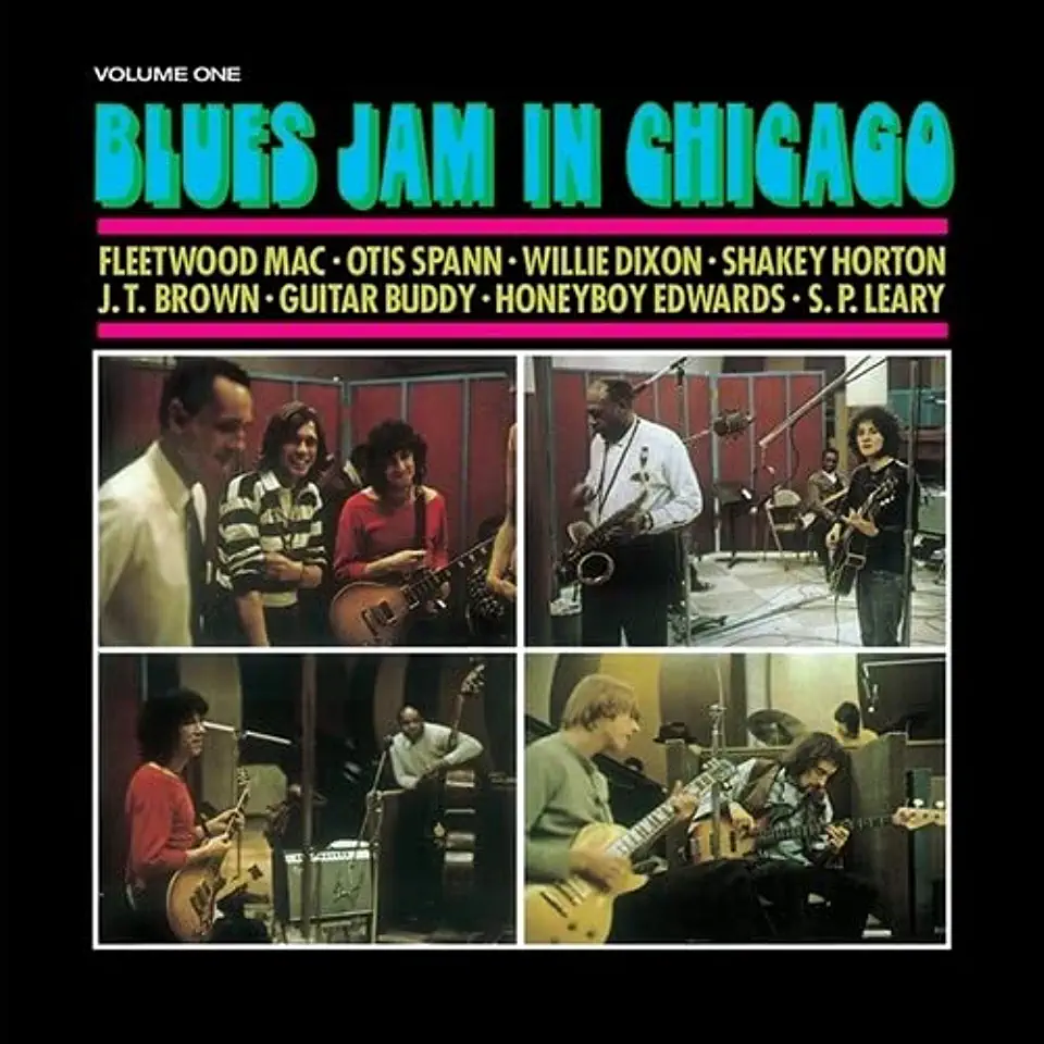 BLUES JAM IN CHICAGO VOLUME ONE / VARIOUS