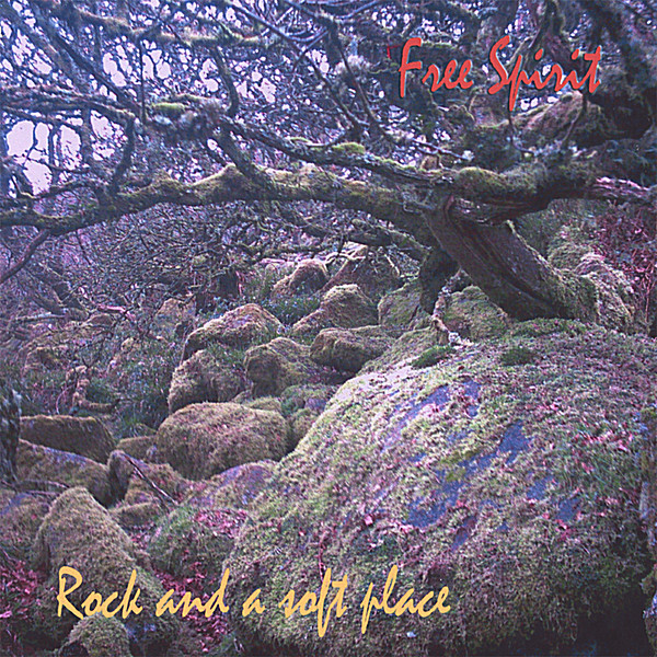 ROCK & A SOFT PLACE
